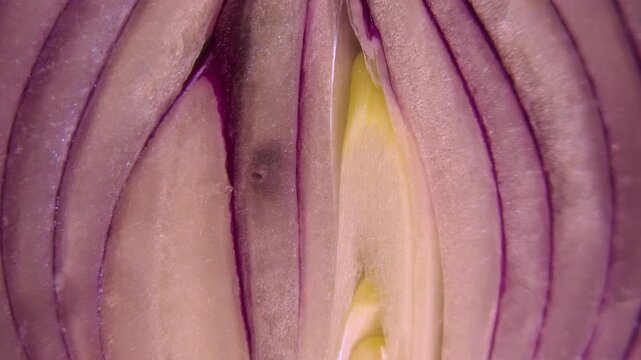 Red Mars Onion (Allium cepa) cross-section macro: Extreme close-up of fleshy scales, purple anthocyanin rings and apical bud - Concept for plant biology, food science and abstract organic texture.