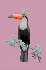 Fototapeta premium Surreal tropical toucan collage with pastel plants and vibrant background colors creating modern exotic wildlife composition for summer design and contemporary decor