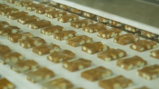 Rows of small rectangular nougat pieces filled with whole roasted peanuts moving along white automated conveyor belt during industrial confectionery manufacturing process