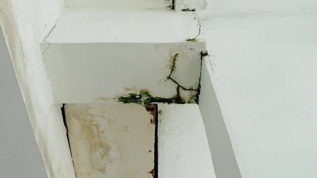 Severe Water Damage, Mold, and Peeling Paint on Ceiling Structure