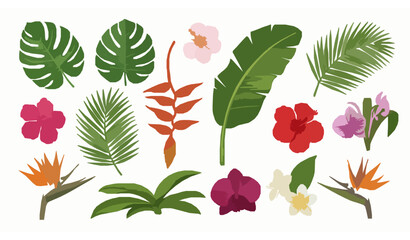 Exotic tropical leaves and flowers vector collection with monstera palm and hibiscus botanical elements © Rimu