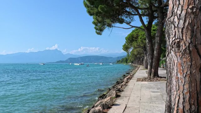Static video lakeshore promenade between Lazise and Bardolino on Lake Garda, pine trees shade stone walkway beside turquoise water with distant mountains in summer