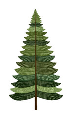 Obraz premium PNG Artistic evergreen tree illustration.