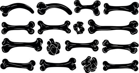 Vector illustration collection of various animal bone silhouettes and anatomical fragments isolated on white background for biology education archaeology research and spooky Halloween decorations. © MstJakarina