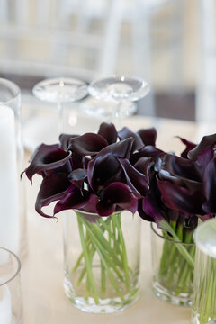 vases of dark purple cala lillies on table at elegant event 