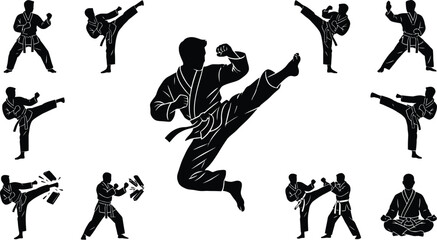 Martial arts silhouette collection featuring karate and taekwondo poses © 777SKYLABS