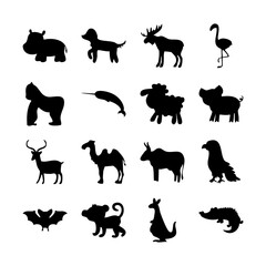 Animal silhouette icon collection including hippo, dog, moose, flamingo, gorilla, narwhal, sheep, pig, antelope, camel, cow, eagle, bat, monkey, kangaroo and crocodile isolated © Arifur
