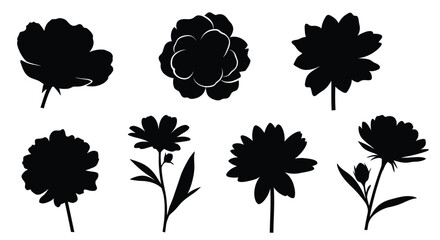 Black floral arrangements showcase delicate blooms in a striking silhouette © adobeamena