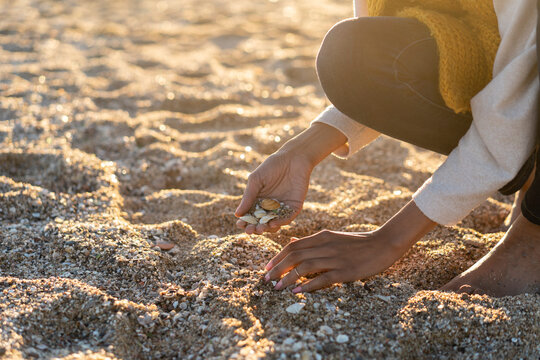 Woman collecting seashells on the beach