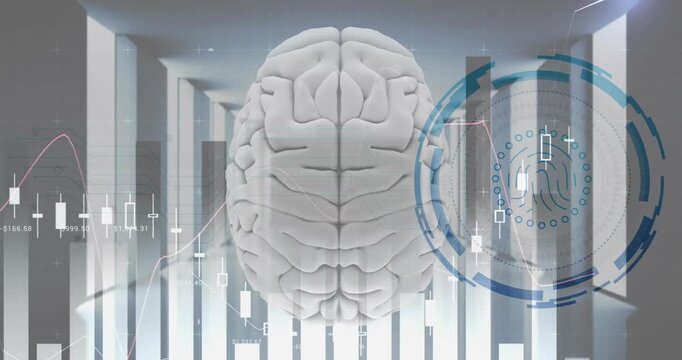 Animation of biometric fingerprint and digital data processing over brain ancomputer servers