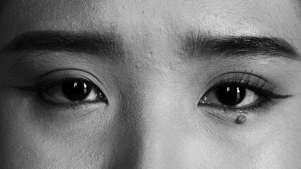 Naklejka premium Beautiful Woman Eyes Close Up Natural Beauty Makeup