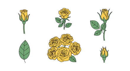 A collection of yellow roses and leaves illustrated in a minimalist style, perfect for floral designs