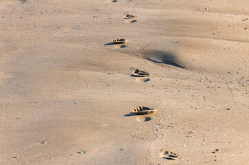 Obraz premium Female Footprints in Sand on Beach – Walking Path in Summer