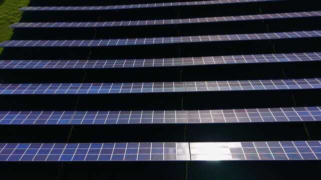 Rows of solar panels are lined up in a green field under the sunlight. The panels convert sunlight into energy. This setup is part of a renewable energy initiative.