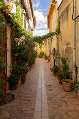 Fototapeta premium Cassis, France, September 09 2024 Sunlit Cobblestone Street in a Charming Mediterranean Village With Yellow Houses and Potted Plants
