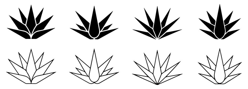agave aloe vera plant icon set