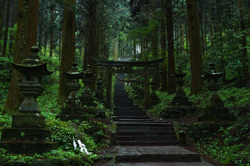 Obraz premium Aso, Kumamoto Prefecture, Kamishikimi Kumanoimasu Shrine