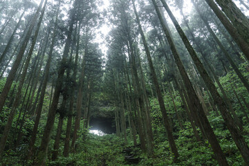 Fototapeta premium 熊本県阿蘇 上色見熊野座神社