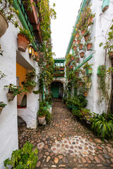 A narrow cobblestone walkway in Cordoba, Spain runs between whitewashed walls with terracotta and painted green pots, vines, and a green wooden door under an arch. © True Pixel Art