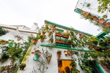 Whitewashed Andalusian house in Cordoba, Spain shows terracotta planters, teal frames, a climbing lemon tree, and a warm lantern by an open doorway in soft daylight. © True Pixel Art