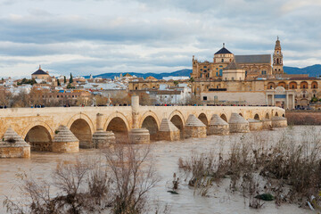 Crowds walk across the Roman Bridge over the Guadalquivir toward the Mezquita Catedral in Cordoba. Soft late day light warms stone, winter shrubs and high river show season. © True Pixel Art