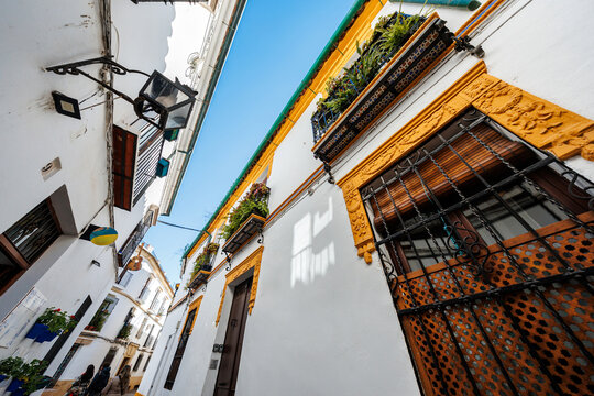Whitewashed houses with mustard yellow trim and wrought iron rejas line a narrow alley in Cordoba, Spain, as locals walk past doors under midday light and lanterns.