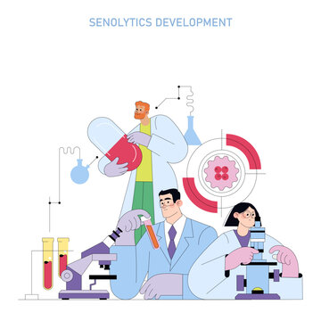 Scientists Developing Senolytics in Lab Vector Illustration