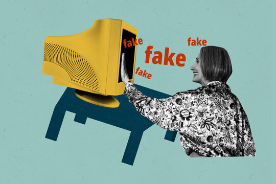 Trendy art creative full zine photo collage of minded girl guy stand pc monitor agitation fake news lie disinformation problem