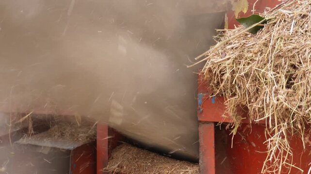 Threshing Machine Separating Grain from Straw