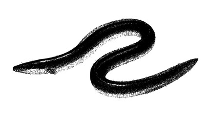 Obraz premium Black and white eel illustration isolated with clipping path.