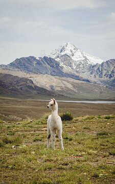 Huayna Potosi, La Paz, Bol&iacute;via