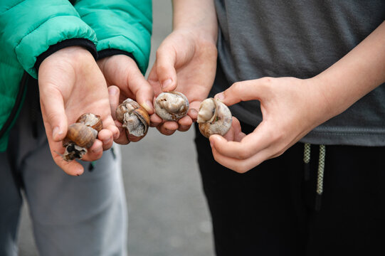 Children hold shells while exploring thear a sunny afternoon