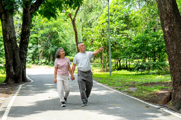 Fototapeta premium Front view of Asian senior man hold hands of senior woman and point forward also walk along the road in public park with happiness during exercise and relax together.