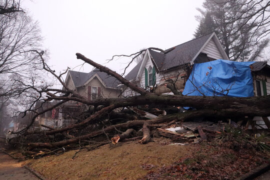 Massive tree collapsed onto a residential home roof after heavy rainfall