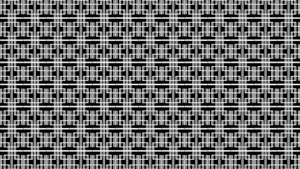 Black and white woven mesh texture background pattern © Visual Graphics