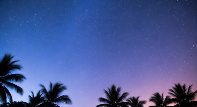 Starry Night Over Palm Trees. A vibrant purple and blue night sky filled with stars and the Milky Way, framed by the silhouettes of tropical palms.