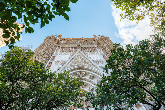Seville Cathedral Gothic portal rises between orange trees at midday. White carved facade contrasts with sandstone buttresses, statues, pinnacles, and archivolts.