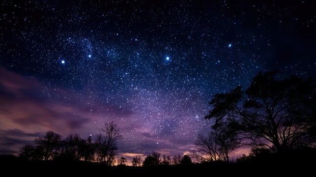 A starry night sky with a silhouette of a tree and a forest in the foreground, with a colorful and dramatic sky filled with stars and clouds.