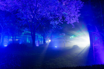Seville, Spain public gardens at night show blue and violet beams slicing mist, trees lit from below, visitors as silhouettes, and a white source casting starburst rays.