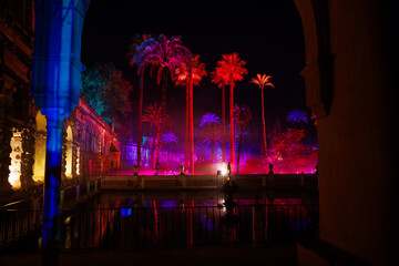 Naklejka premium Nighttime light spectacle at the Real Alcazar gardens in Seville, where towering palms glow above a reflective pool, framed by Moorish arches and stone arcades.