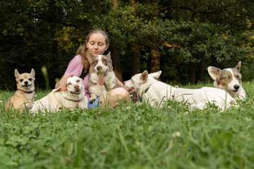 Fototapeta premium Professional dog walker young woman with pack of dogs is sitting on green grass and enjoying walk with animals. training and upbringing and care of pets. dogs from the shelter.