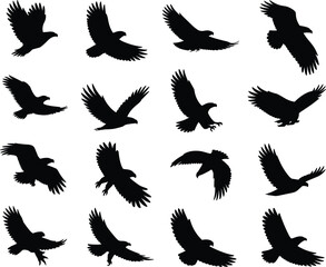 Fototapeta premium Silhouettes of Eagles in Flight and Perched on White Background illustration vector
