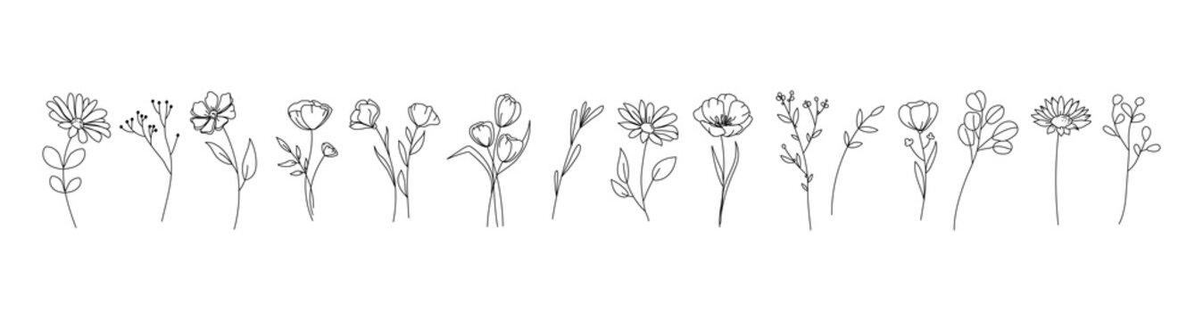 Minimal wildflower line art set with delicate hand drawn botanical flowers and stems simple floral doodle elements for logo branding tattoo packaging stationery wedding design.Vector illustration