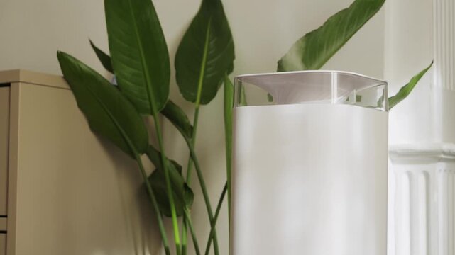 A modern humidifier that produces cool water vapor to moisturize the air in a home and prevent respiratory infections.