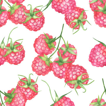 Seamless pattern of raspberry branches white