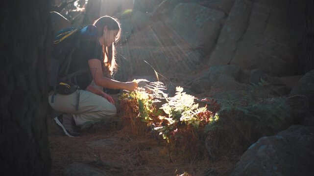 Young female explorer examining plants in the mountains while caring for the natural environment. Concept of environmental awareness, conservation, ecology, and sustainable outdoor exploration.
