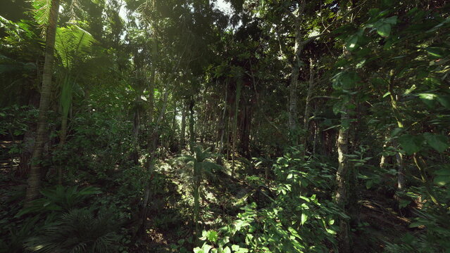 Midday shadows through dense jungle foliage create layered depth, twisting vines and tall trunks form textured backdrop, bright patches of sunlight contrast