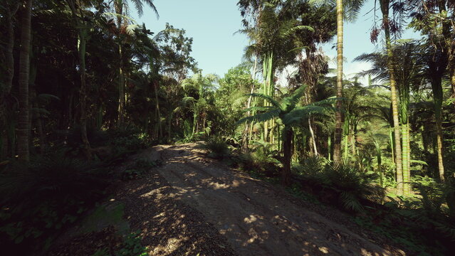 forest trail at selective logging edge, scattered cut marks and open patches contrast dense canopy, scene evokes sustainable forestry decisions, regeneration