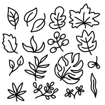A collection of cute leaf line art
