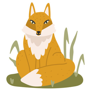 Cunning red fox sits on the grass. Wild fox in the forest. Flat vector illustration.
